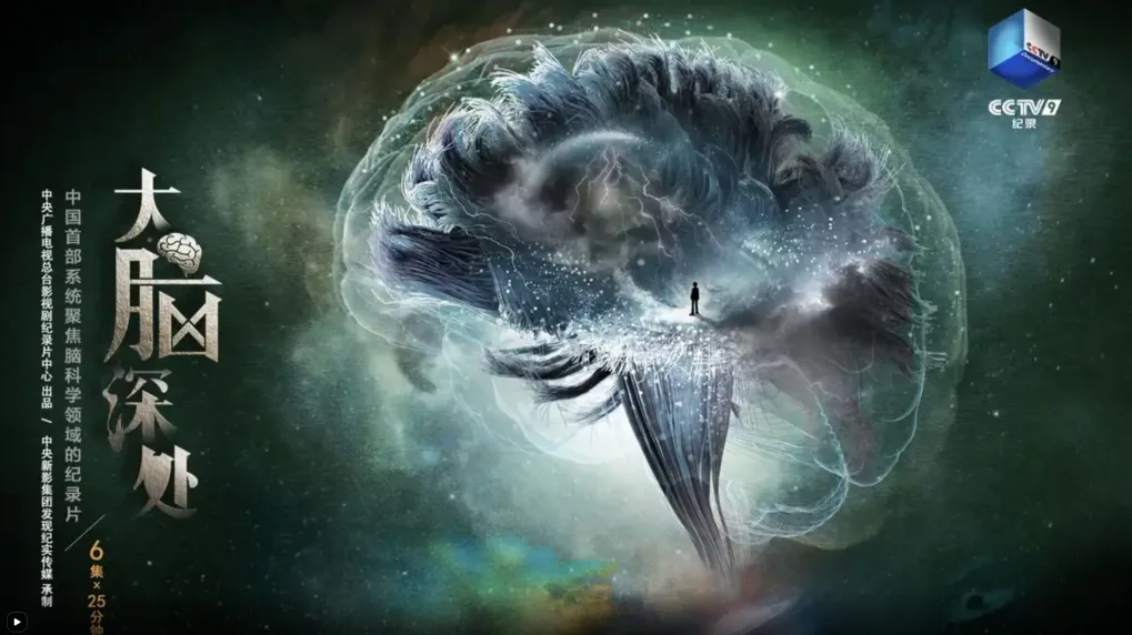 央视纪录片大脑深处海报